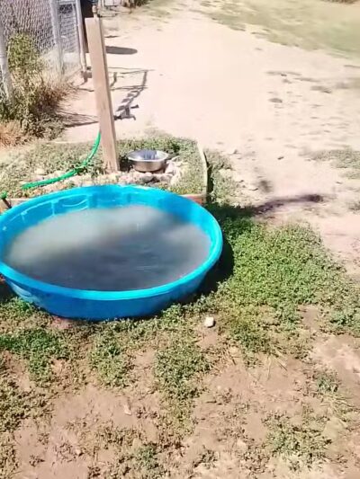 Dog Park - North Ogden, UT