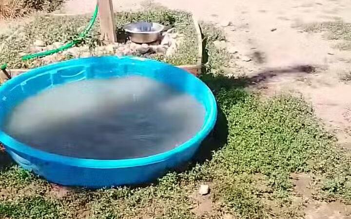 Dog Park - North Ogden, UT