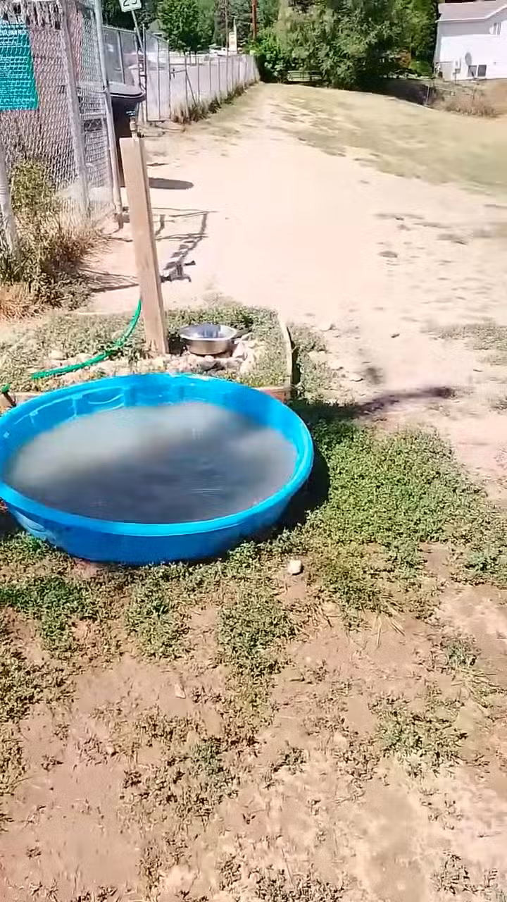 Dog Park - North Ogden, UT