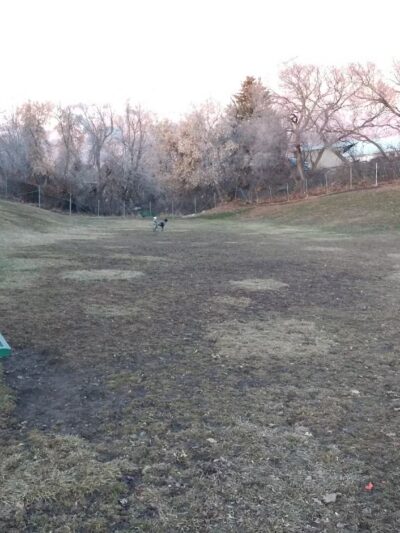 Dog Park - North Ogden, UT