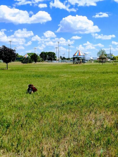 Happy Hound Retreat Dog Park - North Platte, NE