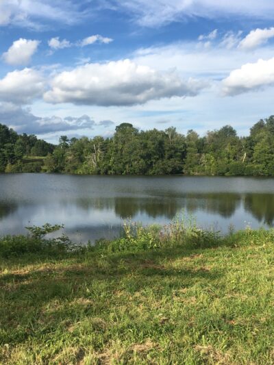 Baxter Preserve- The Racetrack - North Salem, NY