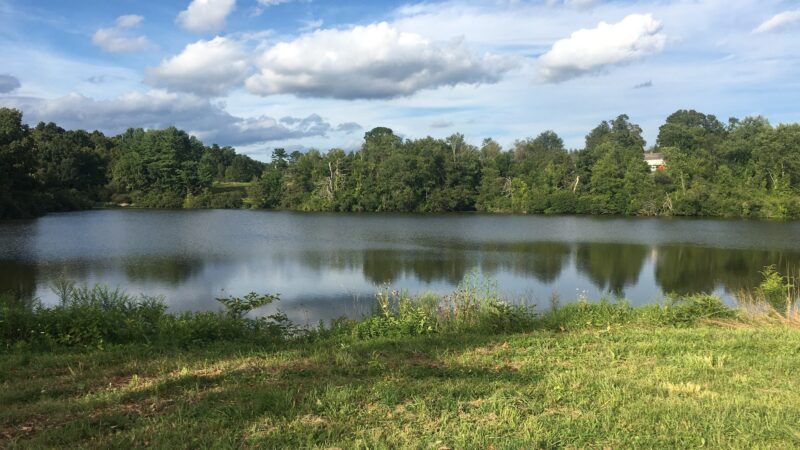 Baxter Preserve- The Racetrack - North Salem, NY