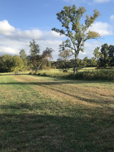 Baxter Preserve- The Racetrack - North Salem, NY