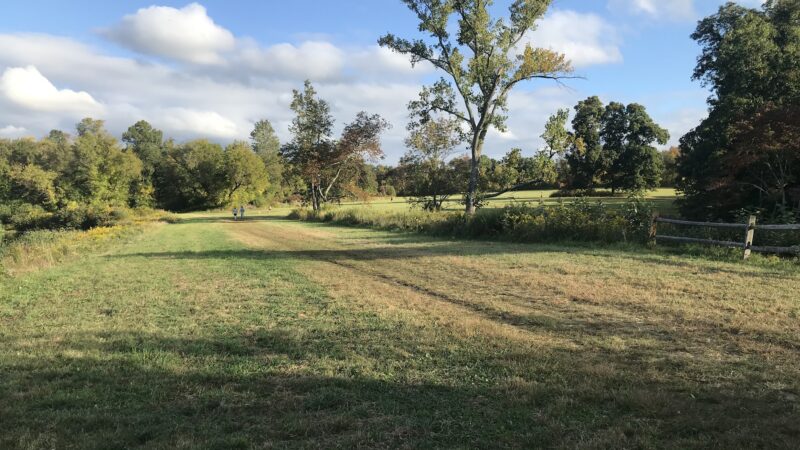 Baxter Preserve- The Racetrack - North Salem, NY