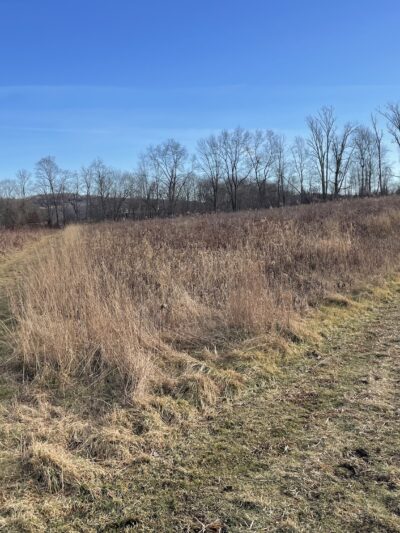 Baxter Preserve- The Racetrack - North Salem, NY