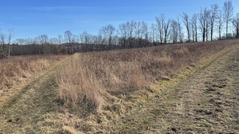 Baxter Preserve- The Racetrack - North Salem, NY