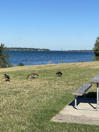 Gratwick Riverside Park - North Tonawanda, NY