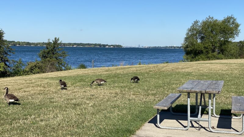 Gratwick Riverside Park - North Tonawanda, NY