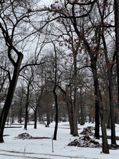 Pine Woods Park - North Tonawanda, NY