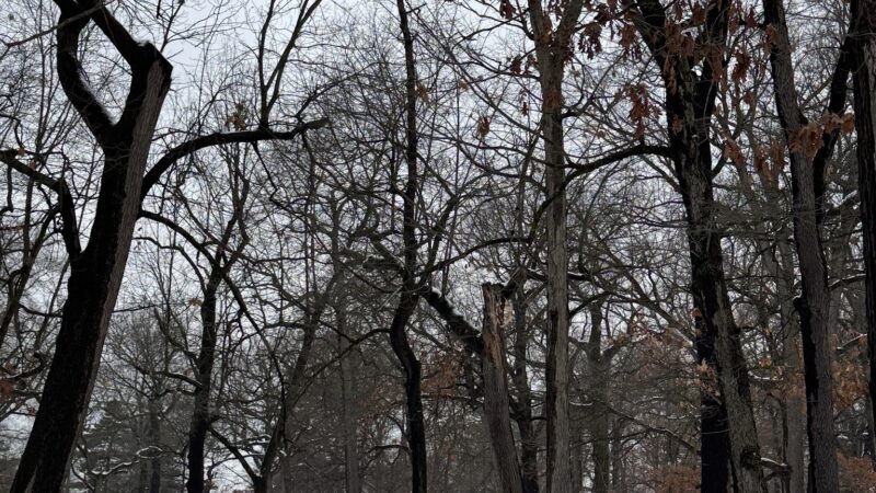 Pine Woods Park - North Tonawanda, NY