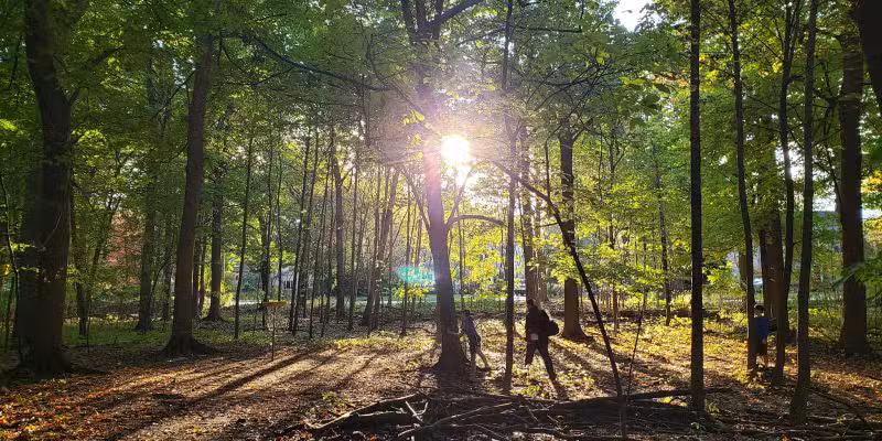 Pine Woods Park - North Tonawanda, NY