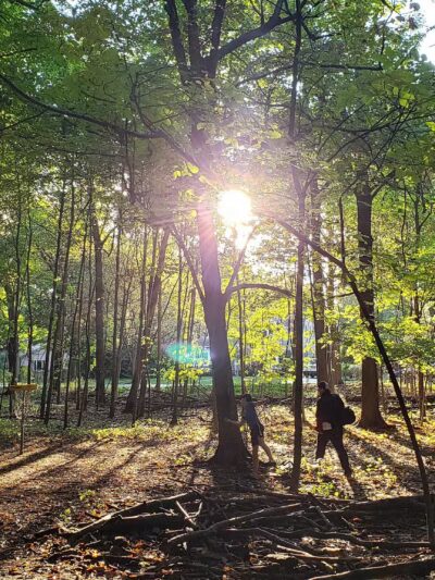 Pine Woods Park - North Tonawanda, NY