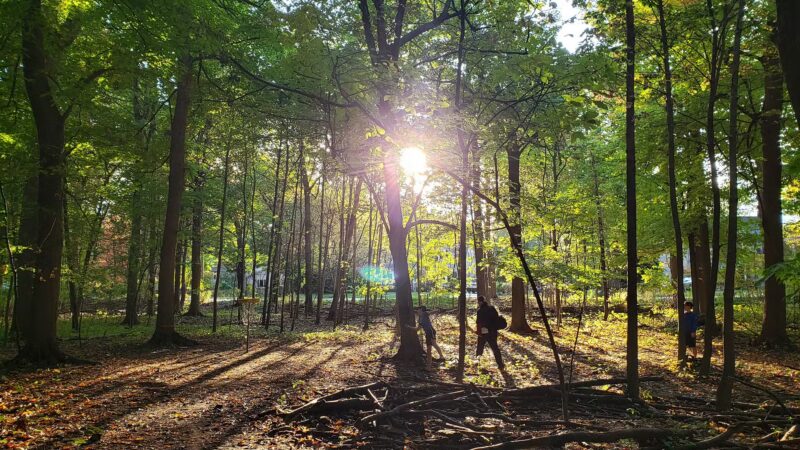 Pine Woods Park - North Tonawanda, NY