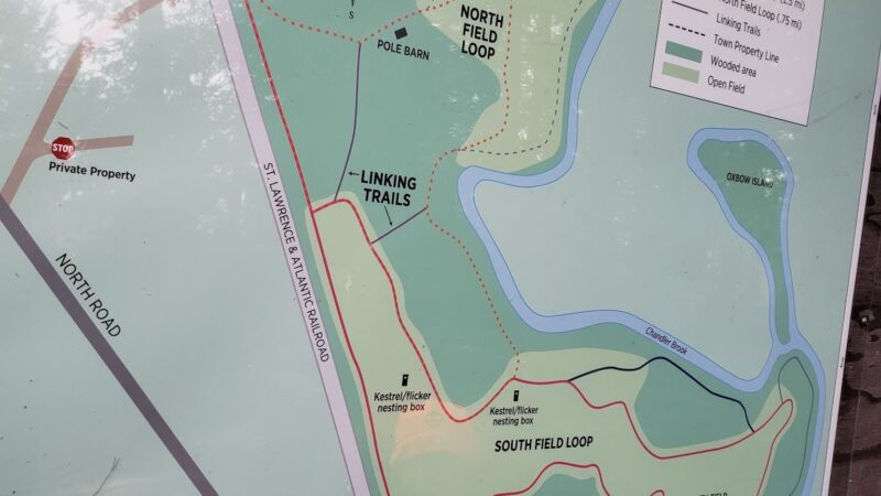 Chandler Brook Preserve - North Yarmouth, ME