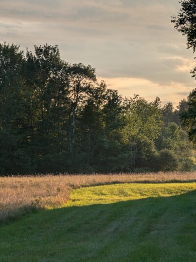 Chandler Brook Preserve - North Yarmouth, ME