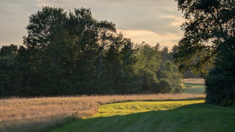 Chandler Brook Preserve - North Yarmouth, ME