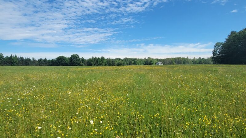 Old Town House Park - North Yarmouth, ME