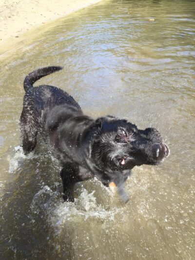 Wescustogo Park - North Yarmouth, ME