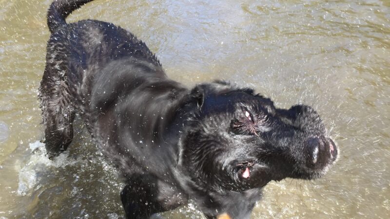 Wescustogo Park - North Yarmouth, ME