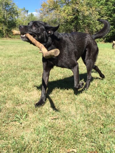 Wescustogo Park - North Yarmouth, ME