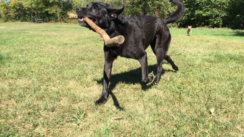 Wescustogo Park - North Yarmouth, ME