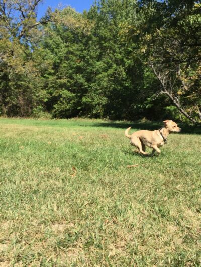 Wescustogo Park - North Yarmouth, ME
