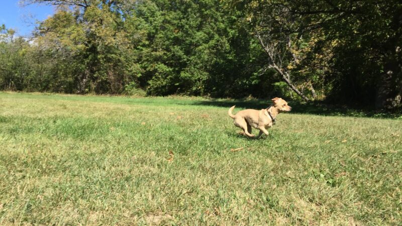 Wescustogo Park - North Yarmouth, ME