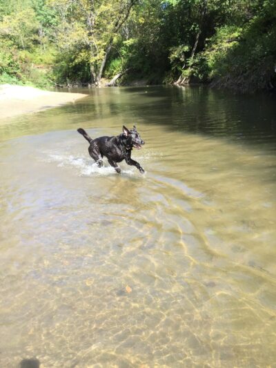 Wescustogo Park - North Yarmouth, ME