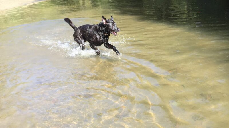 Wescustogo Park - North Yarmouth, ME