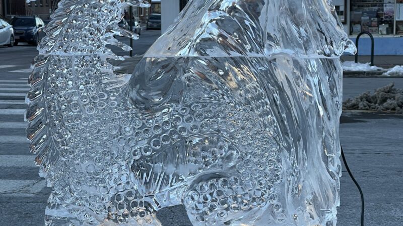 Pulaski Park - Northampton, MA