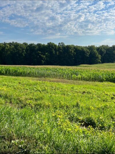 Smith Professional Agricultural Fields - Northampton, MA