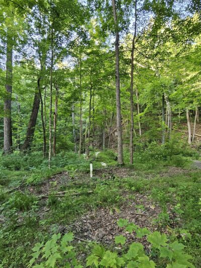 Indian Trail Park - Northampton, PA