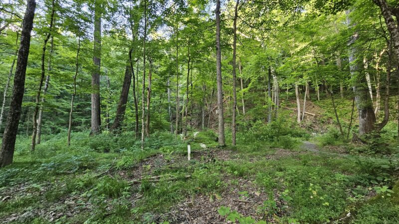 Indian Trail Park - Northampton, PA