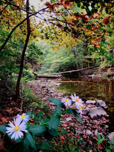 Indian Trail Park - Northampton, PA