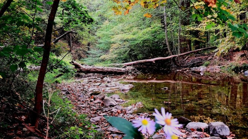 Indian Trail Park - Northampton, PA