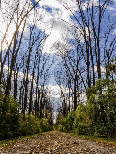Wayne A. Grube Memorial Park - Northampton, PA