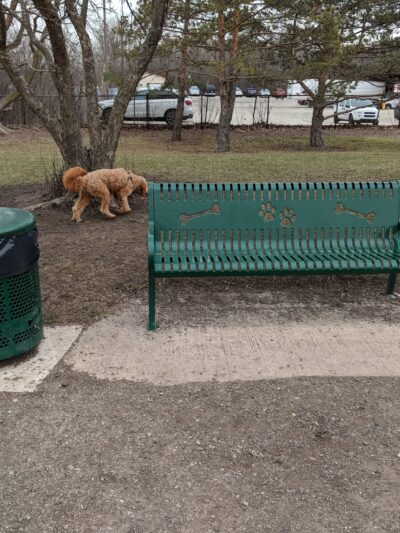 Northbrook Dog Park - Northbrook, IL