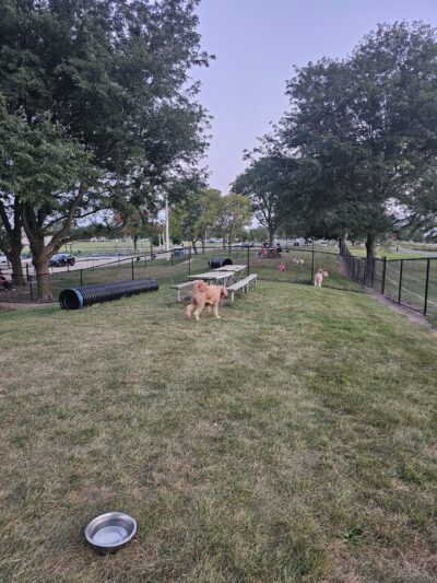 Northlake Dog Park - Northlake, IL