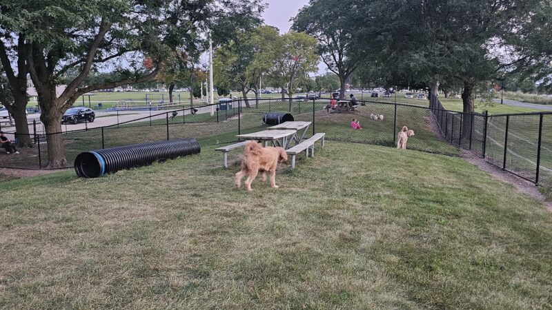 Northlake Dog Park - Northlake, IL