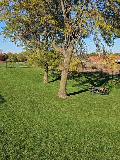 Northlake Dog Park - Northlake, IL