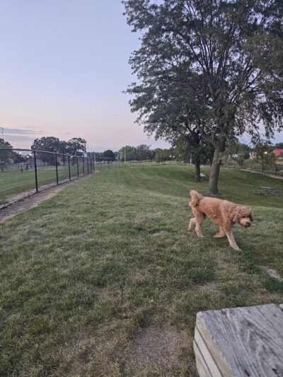 Northlake Dog Park - Northlake, IL
