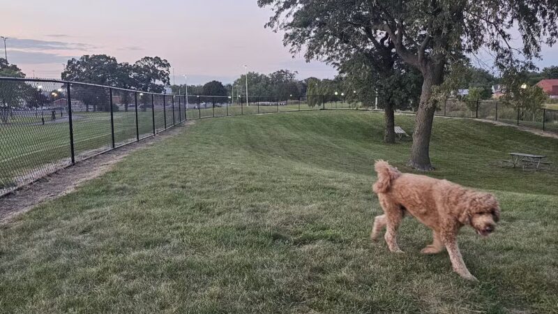 Northlake Dog Park - Northlake, IL