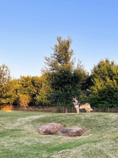 Canyon Falls Dog Park - Northlake, TX