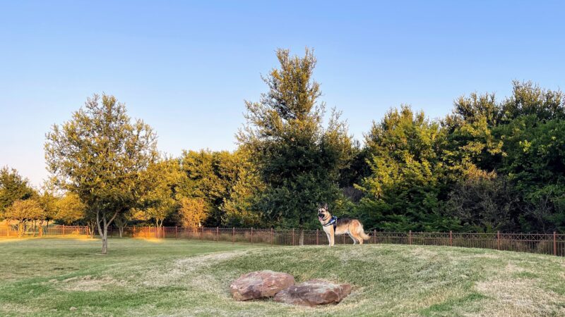 Canyon Falls Dog Park - Northlake, TX