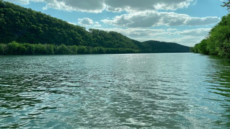 Pineknotter Park - Northumberland, PA