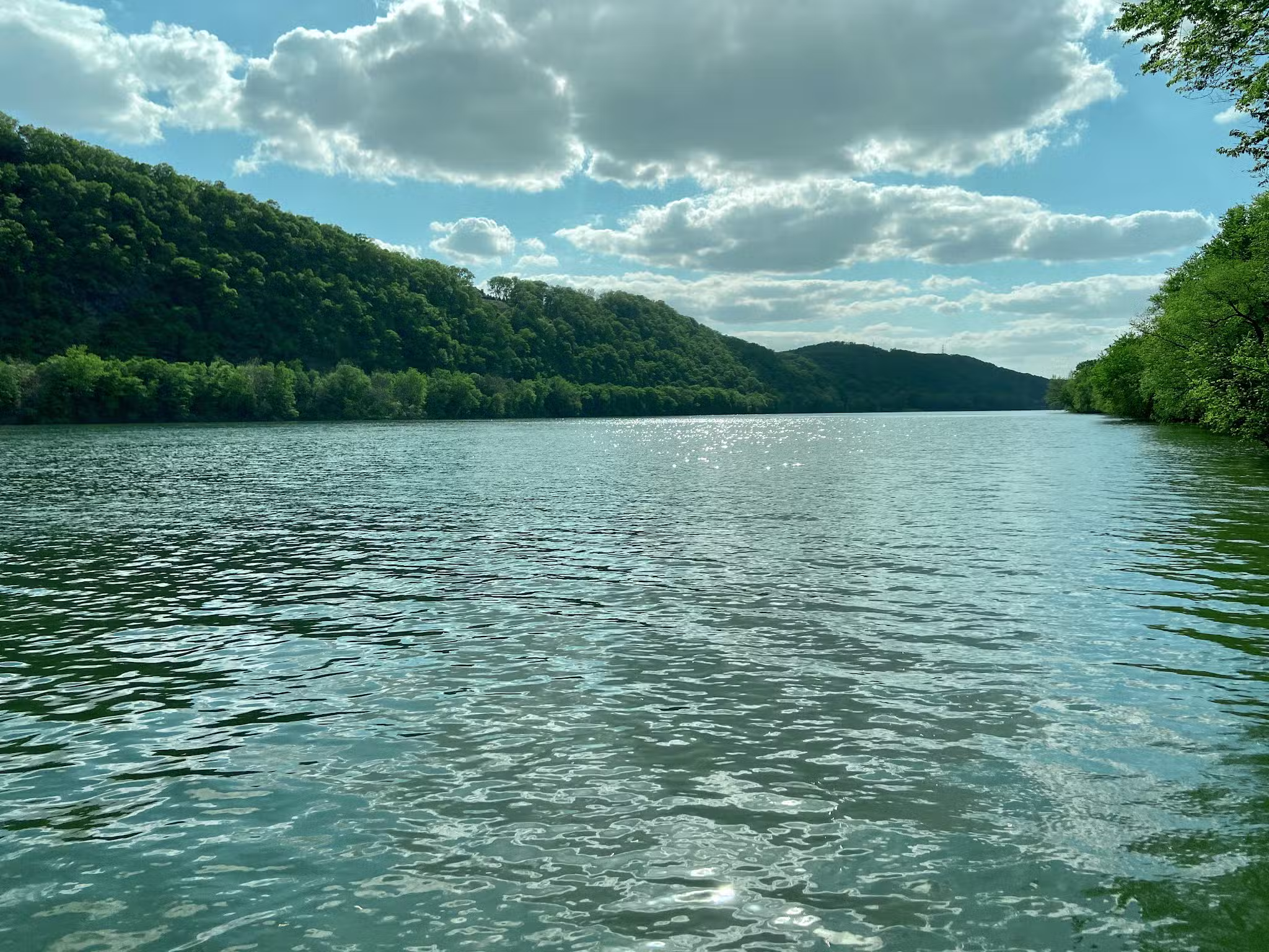 Pineknotter Park - Northumberland, PA