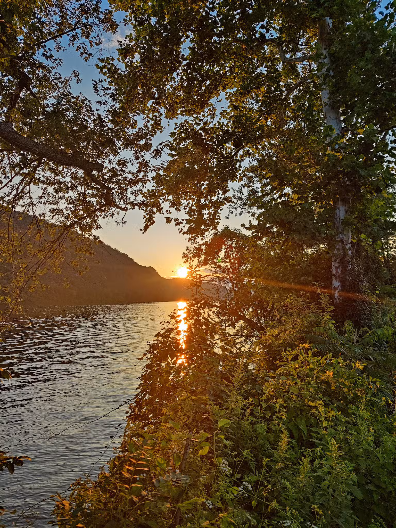 Pineknotter Park - Northumberland, PA