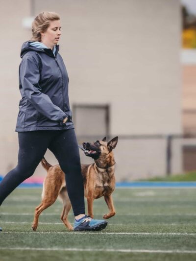 Northwest Canine Coaching LLC - ,