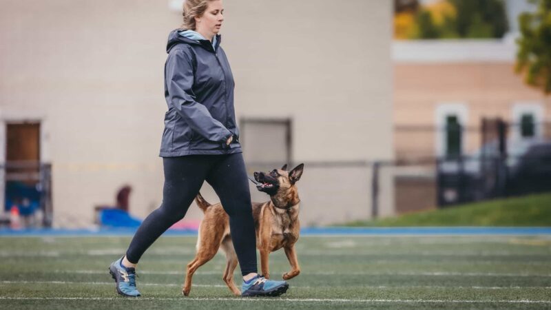 Northwest Canine Coaching LLC - ,